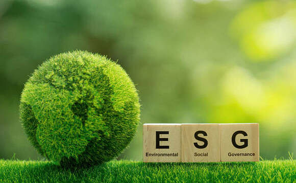 Capital Group survey: Lack of innovation holding back ESG adoption Capital Group survey: Lack of innovation holding back ESG adoption