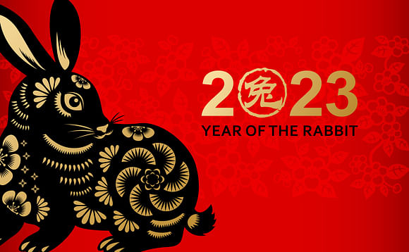 What do the markets have in store for China in the Year of the Rabbit?